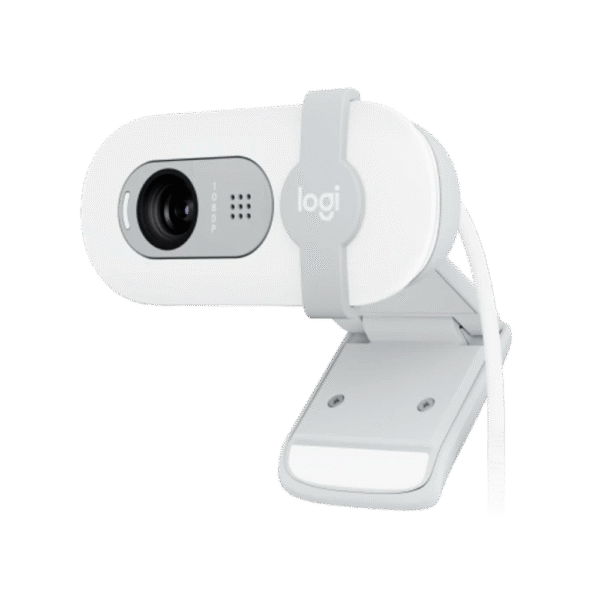 Web Cam Logitech Brio 100 White 960-001615