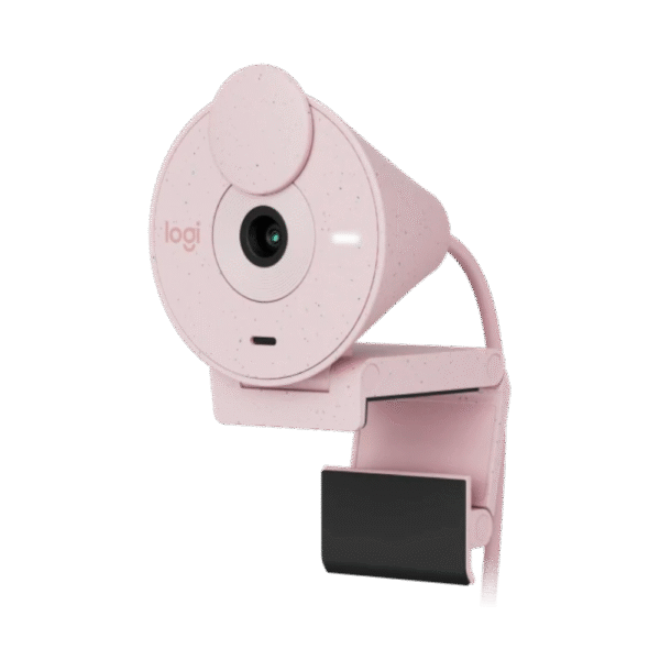 Web Cam Logitech Brio 300 Rose Full HD 960-001446